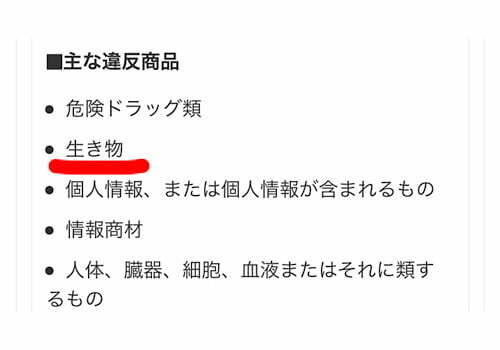 ジモティーでメダカが人気だった件